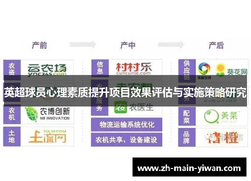英超球员心理素质提升项目效果评估与实施策略研究